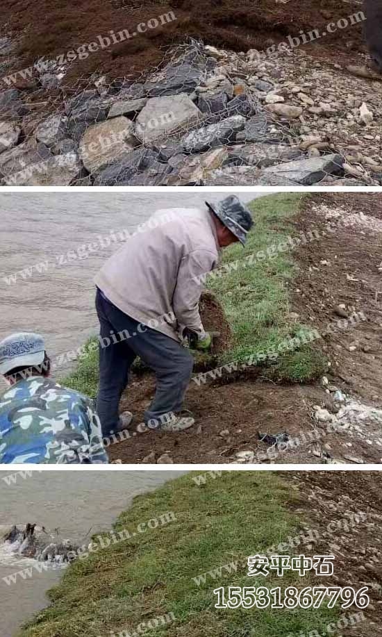 護(hù)岸格賓網(wǎng).jpg 護(hù)岸格賓網(wǎng).jpg